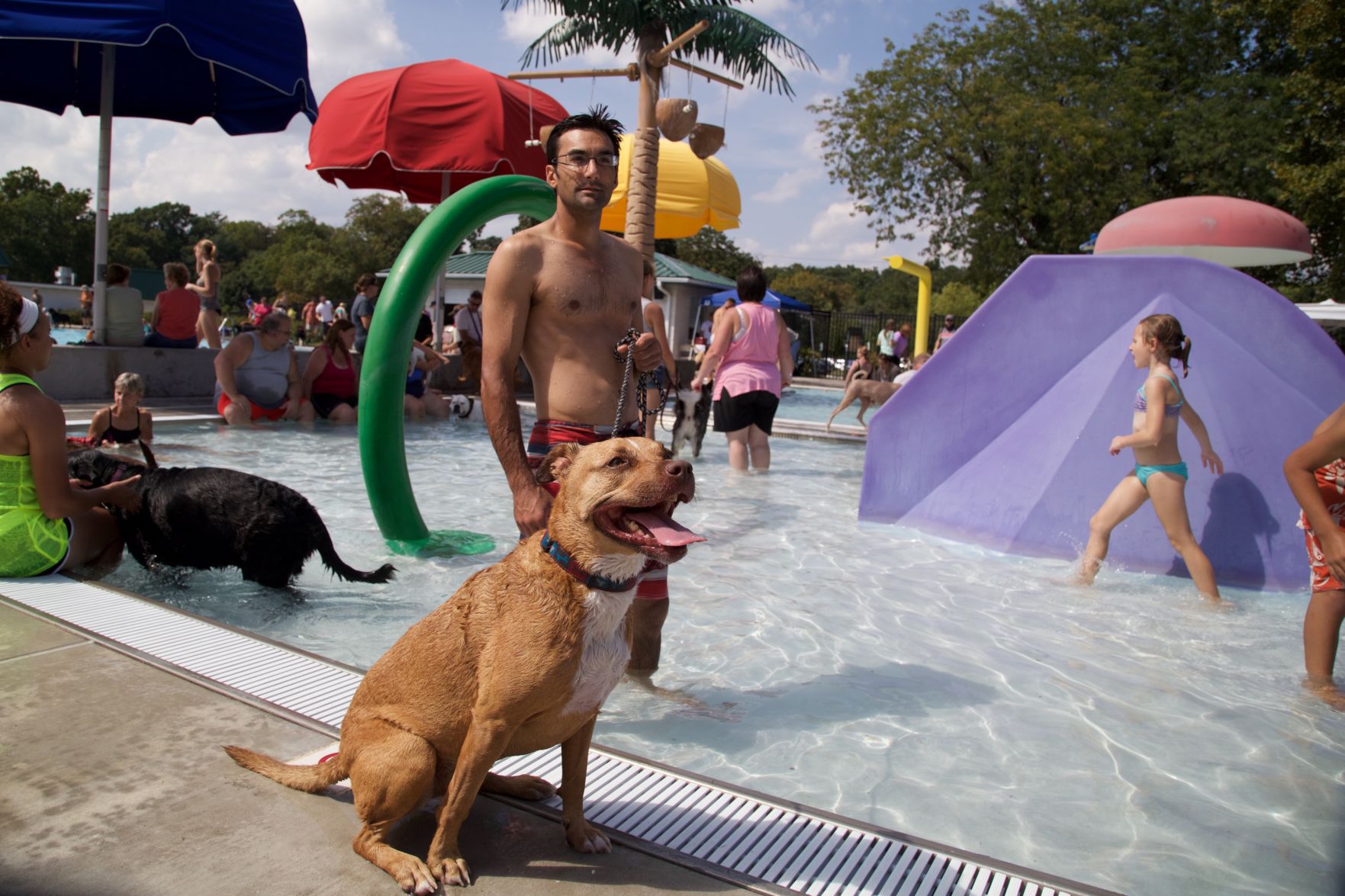 Ephrata Doggie Swim